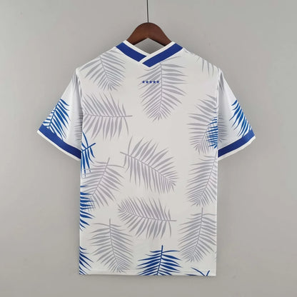 Brazil White and Blue 2022 Special Jersey