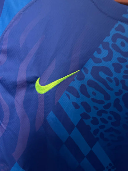 Brazil 2025 Away Jersey